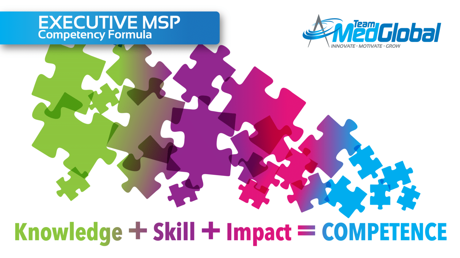 executive msp competency