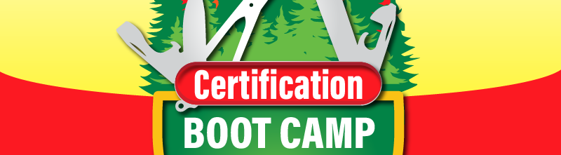 LSMSS_cert_masthead